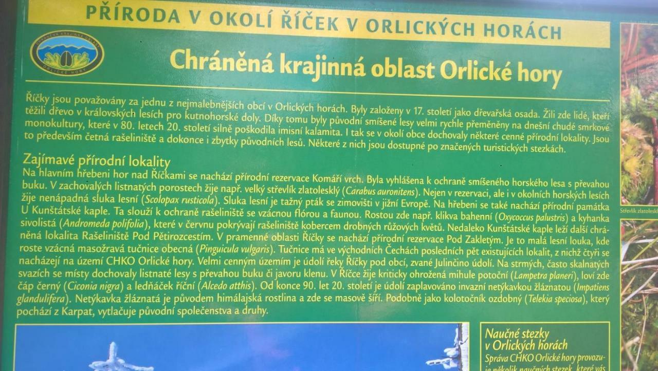 Apartmán Nad terasou Ricky (Hradec Kralove) Exterior foto